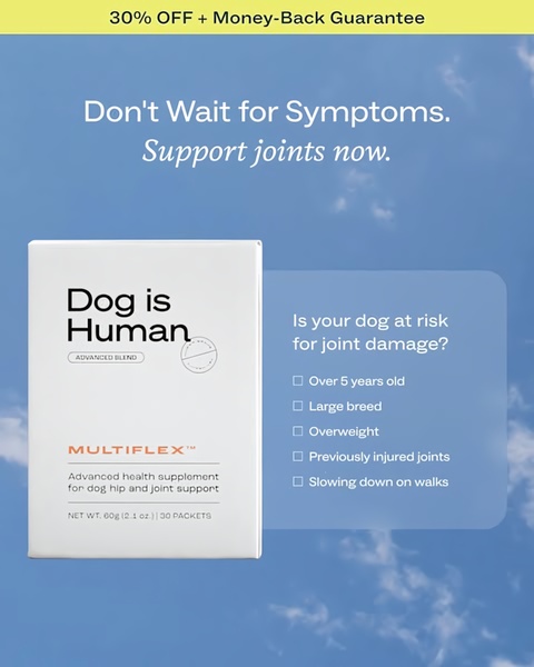 A clean, minimalist 4:5 image ad that uses a simple checklist of symptoms to create immediate relevance for dog owners concerned about joint health.